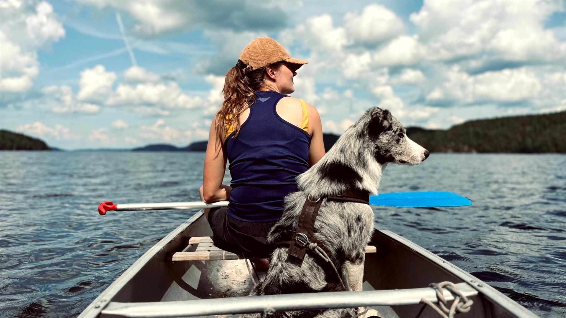 Oscar de border collie voorop in de kano